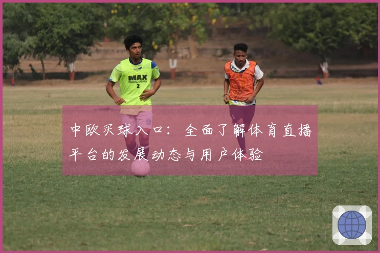 中欧买球入口：全面了解体育直播平台的发展动态与用户体验