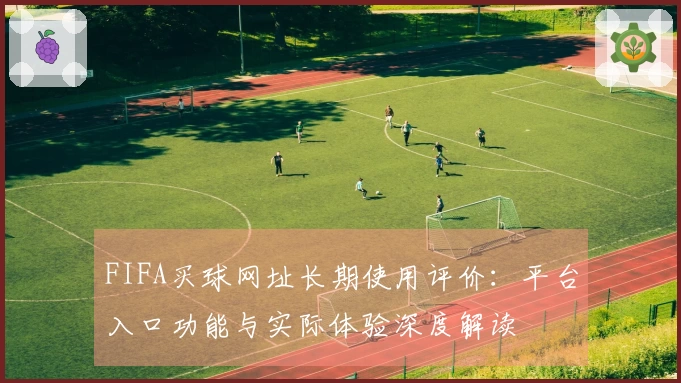 FIFA买球网址长期使用评价：平台入口功能与实际体验深度解读