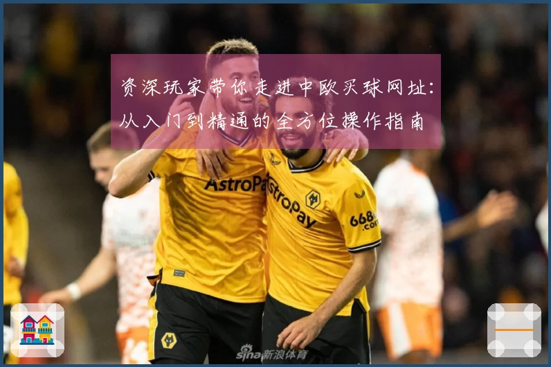 资深玩家带你走进中欧买球网址：从入门到精通的全方位操作指南