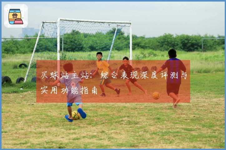 买球站主站：综合表现深度评测与实用功能指南