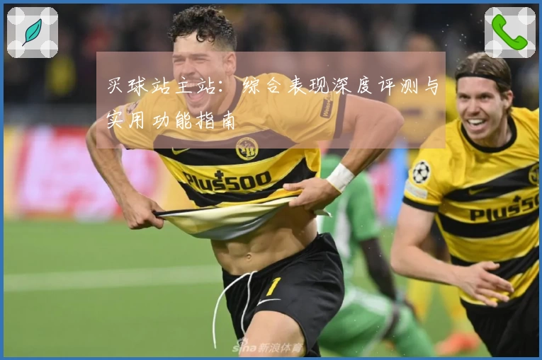 买球站主站：综合表现深度评测与实用功能指南