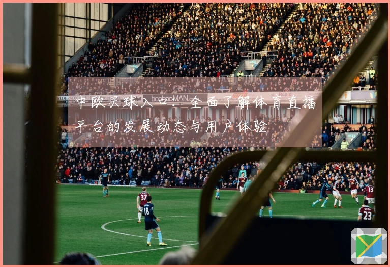 中欧买球入口：全面了解体育直播平台的发展动态与用户体验